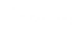 Emerenciano Academy - EAD